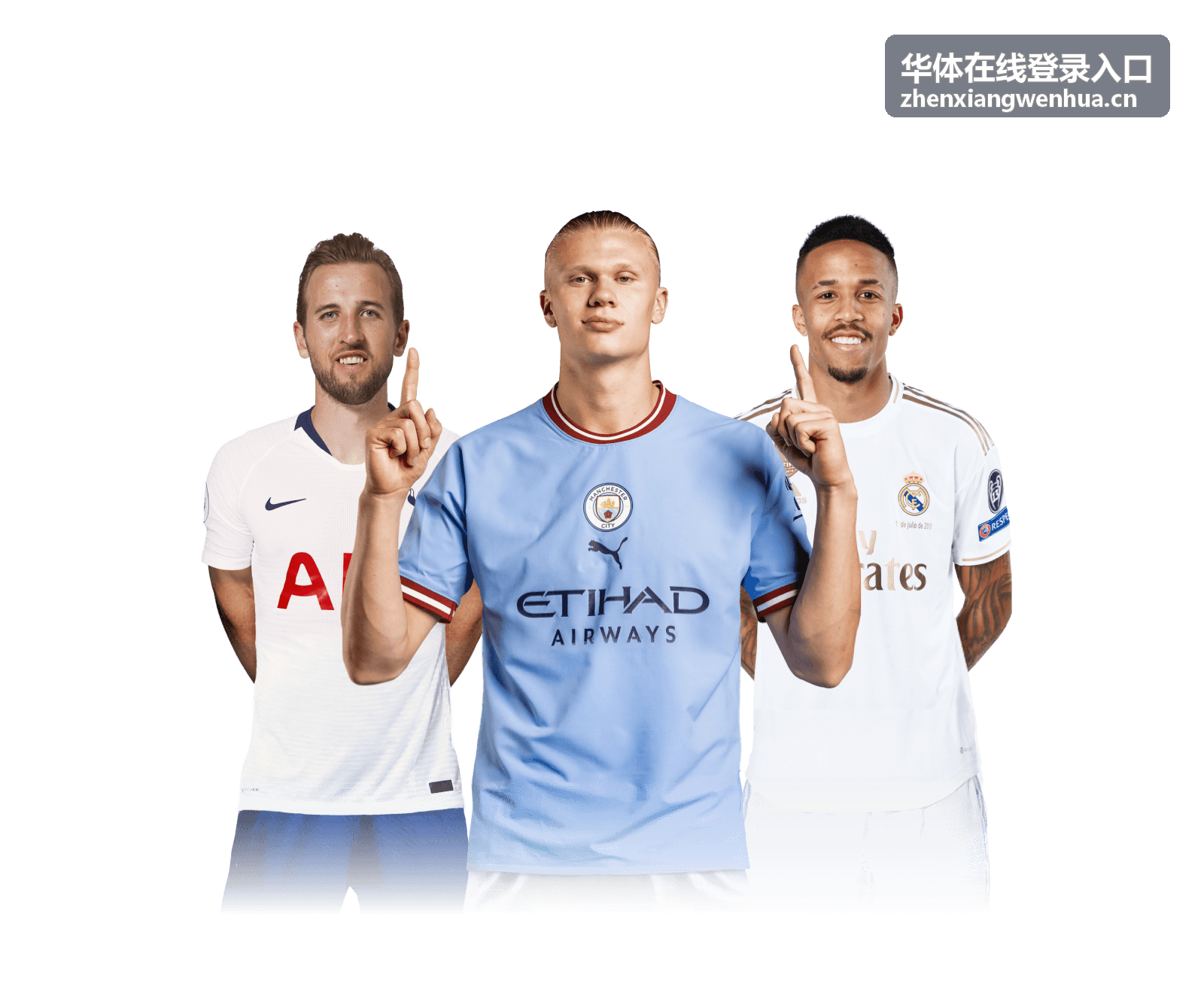华体在线登录入口场馆看台分区与固定座位